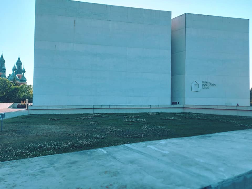 Synteza 2023
