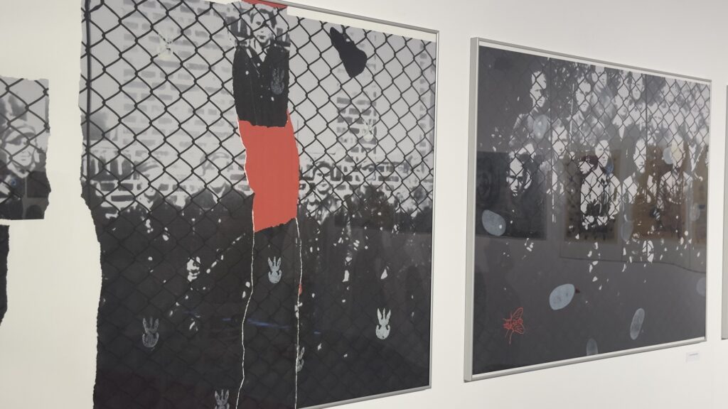 Dwie wielkoformatowe, czarno-białe prace z motywem siatki, postaci i czerwonych akcentów wiszą na ścianie galerii.